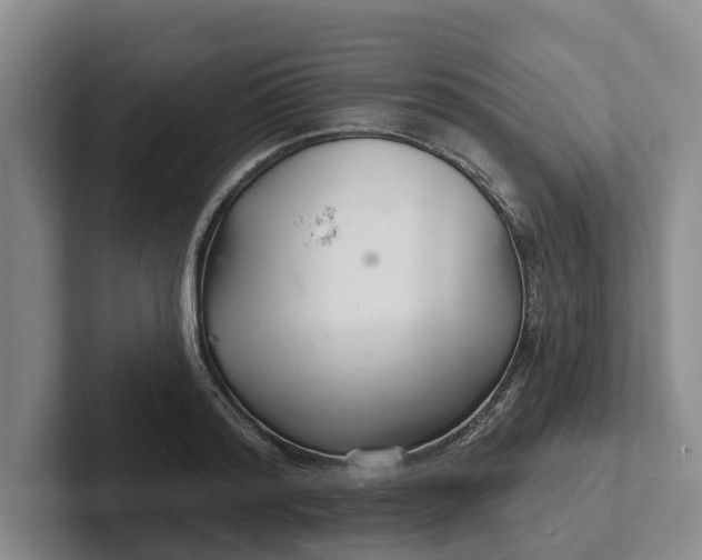 X0000102280796200808081501