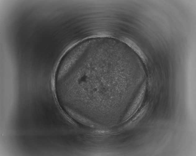 X0000102280797200808081501