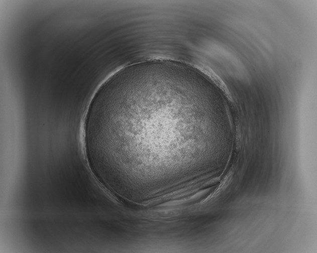 X0000102280798200808081501