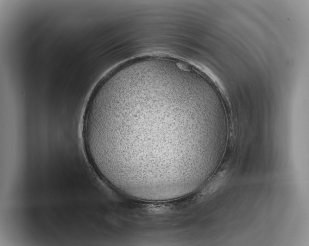 X0000102280799200808081501