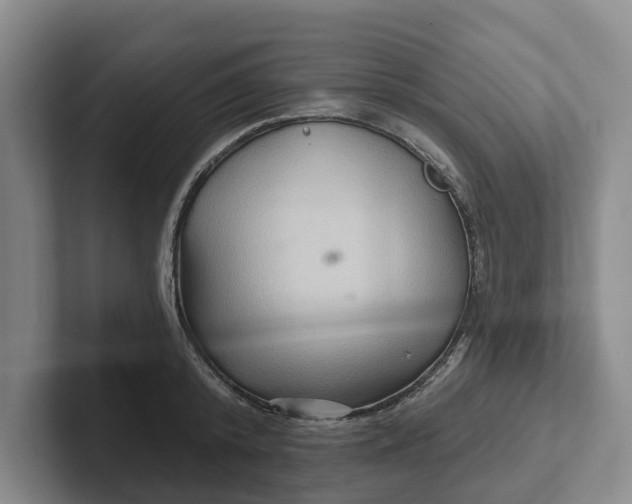 X0000102280800200808081501