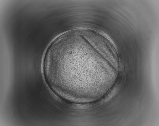 X0000102280803200808081501