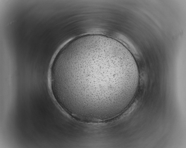 X0000102280804200808081501