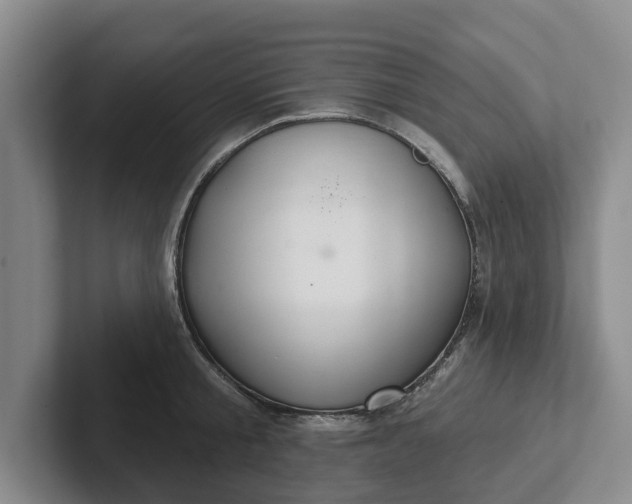 X0000102280805200808081501