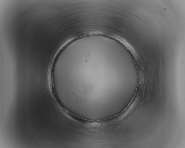 X0000102280806200808081501