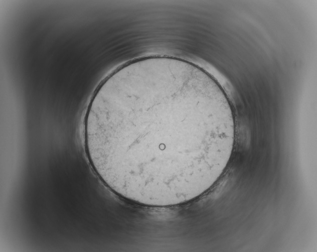 X0000102280807200808081501