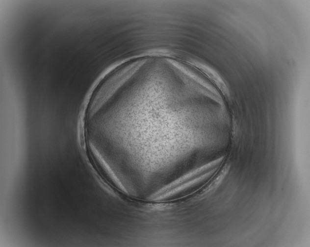 X0000102280808200808081501