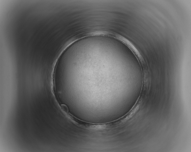 X0000102280810200808081501