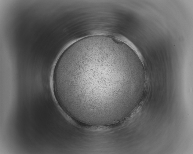 X0000102280811200808081501