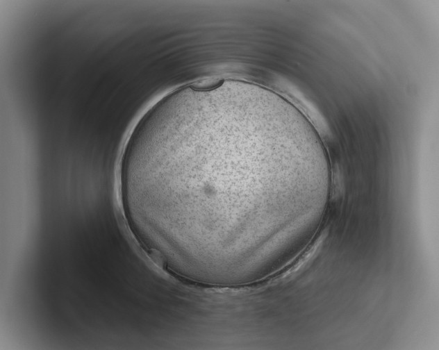 X0000102280812200808081501