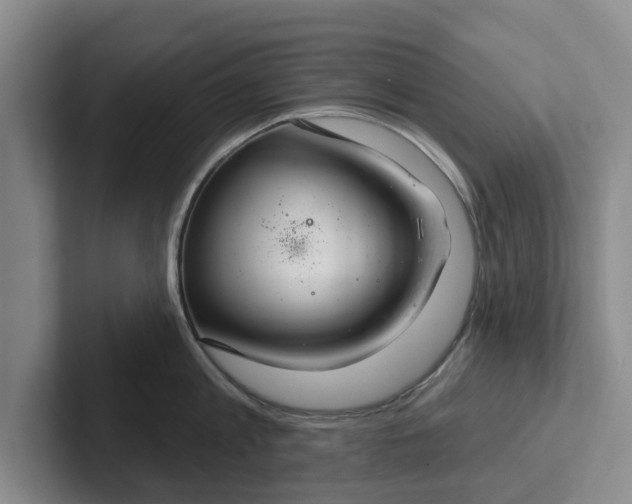 X0000102280813200808081501