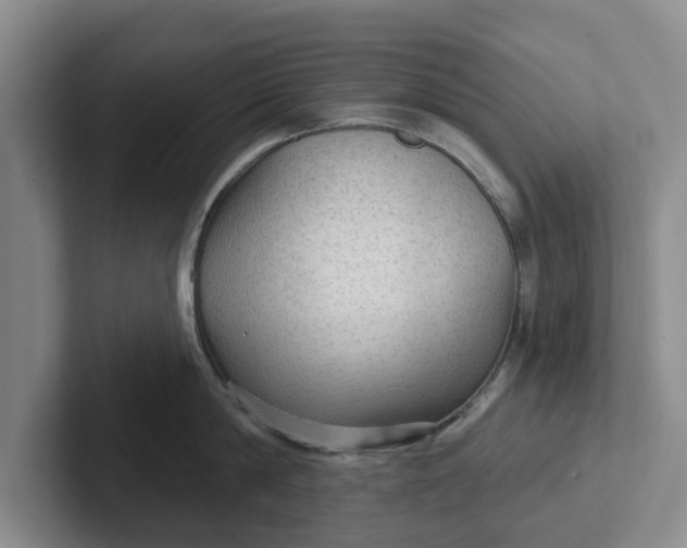 X0000102280814200808081501