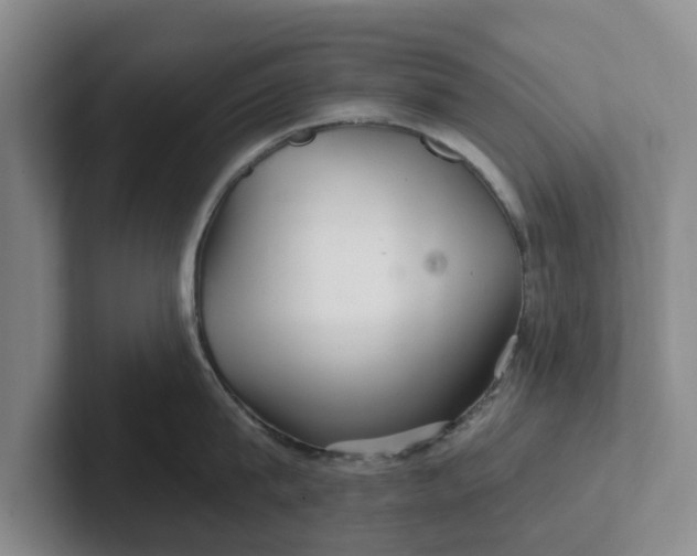 X0000102280815200808081501