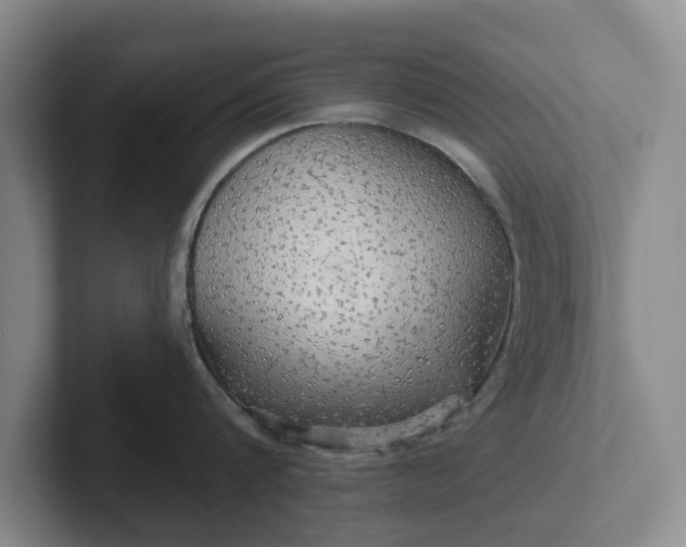 X0000102280816200808081501