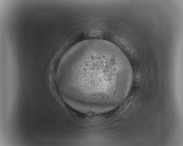 X0000102280817200808081500