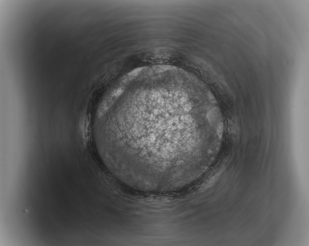 X0000102280818200808081500