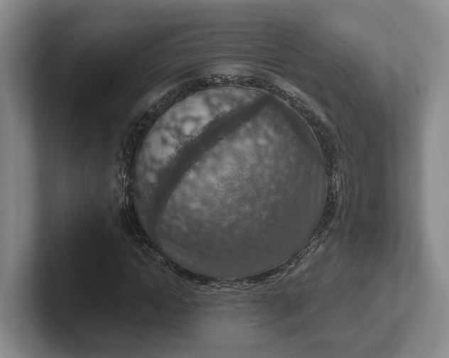 X0000102280822200808081500