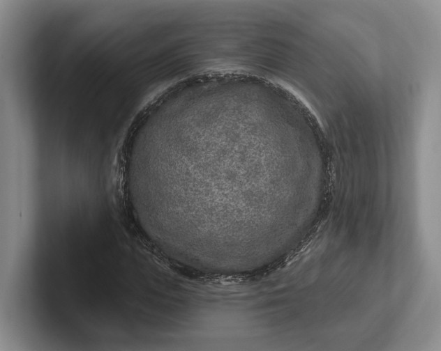 X0000102280823200808081500