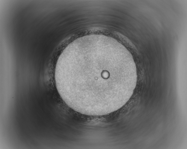 X0000102280824200808081500