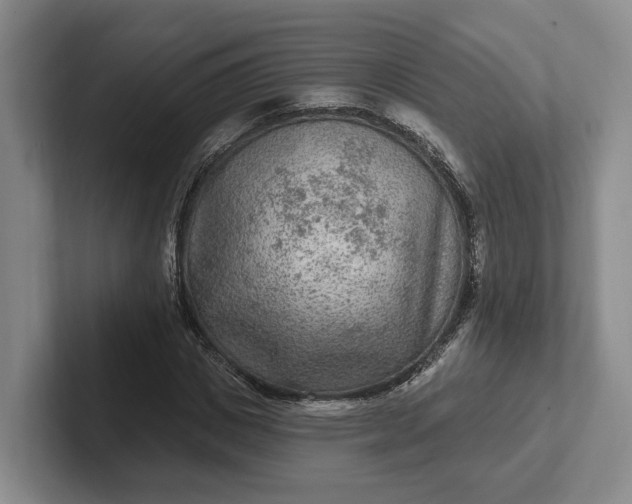 X0000102280825200808081500