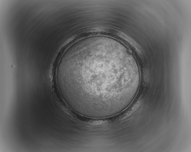 X0000102280826200808081500