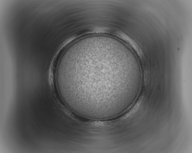 X0000102280827200808081500