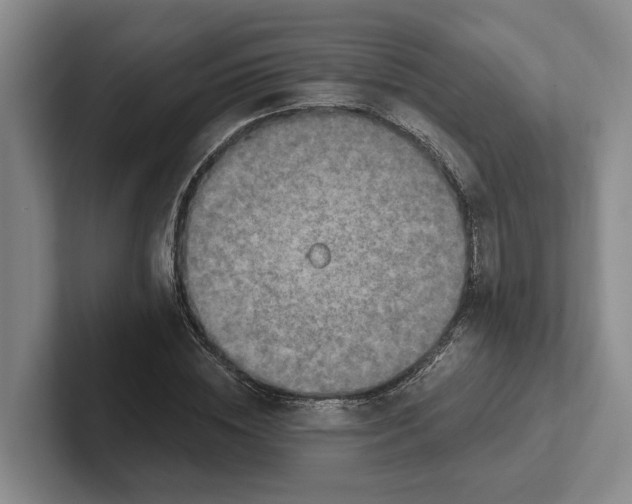 X0000102280828200808081500