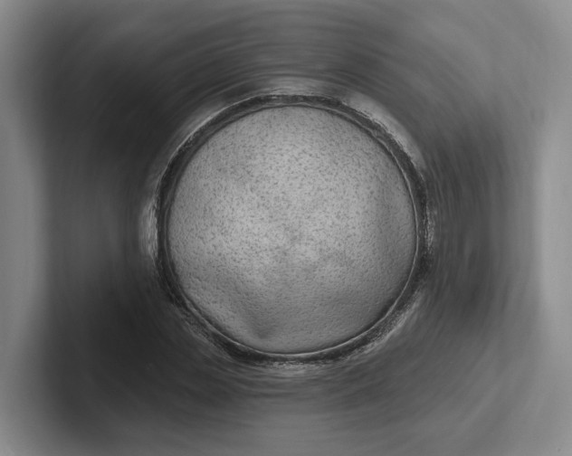 X0000102280829200808081500