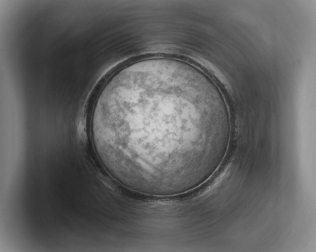 X0000102280830200808081500