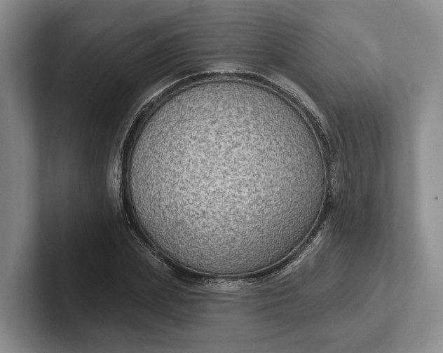 X0000102280831200808081500