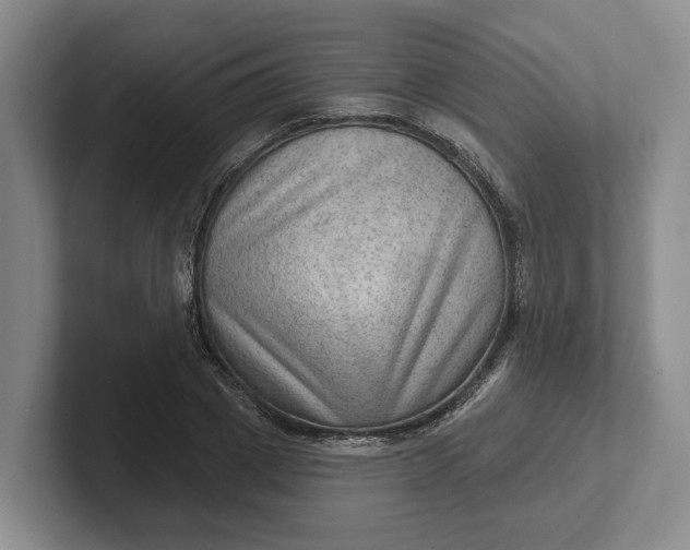 X0000102280833200808081500