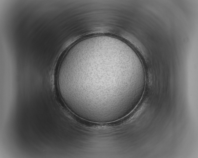 X0000102280834200808081500