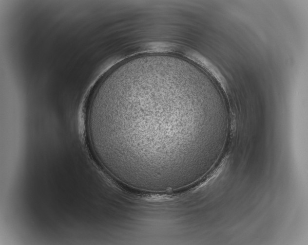 X0000102280835200808081500