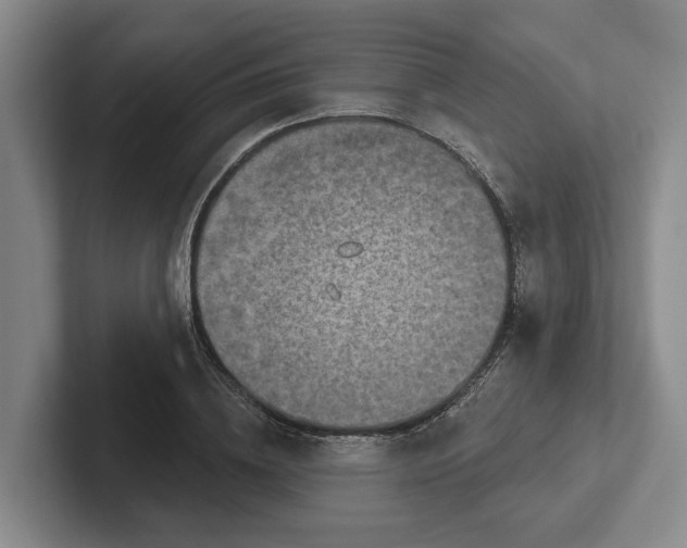 X0000102280836200808081500