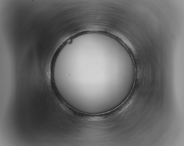 X0000102280837200808081500