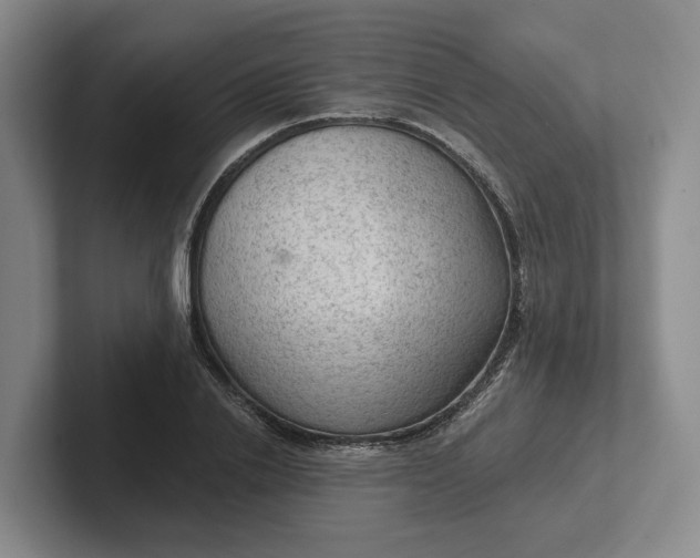 X0000102280838200808081500