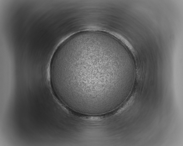 X0000102280839200808081500