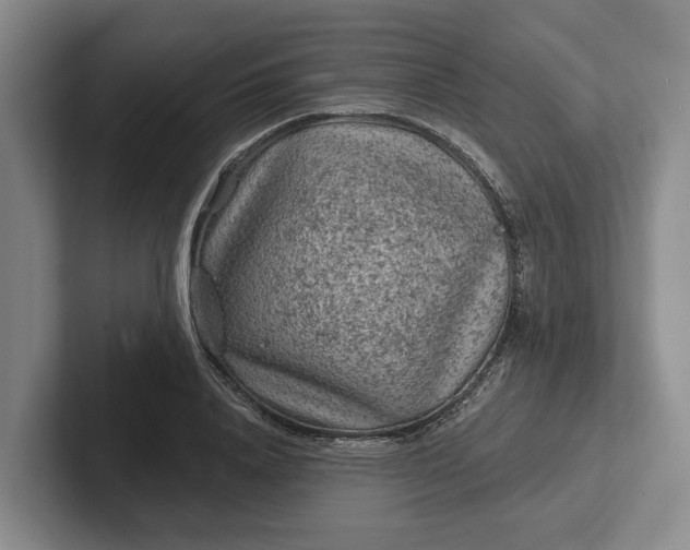 X0000102280840200808081500