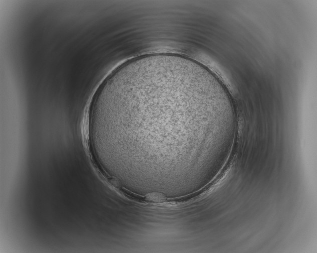 X0000102280844200808081500