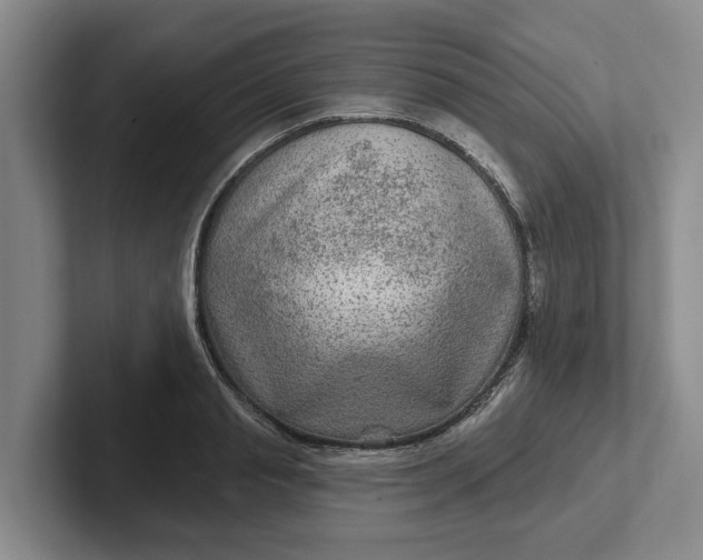 X0000102280845200808081500