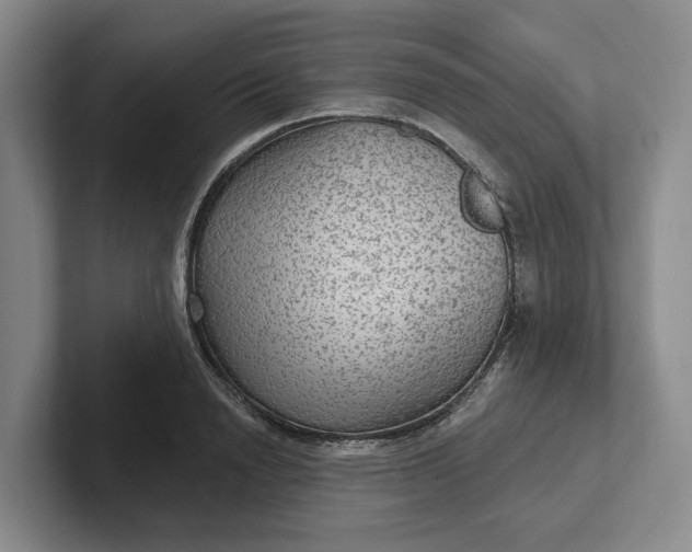 X0000102280846200808081500