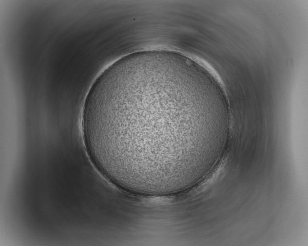 X0000102280847200808081501