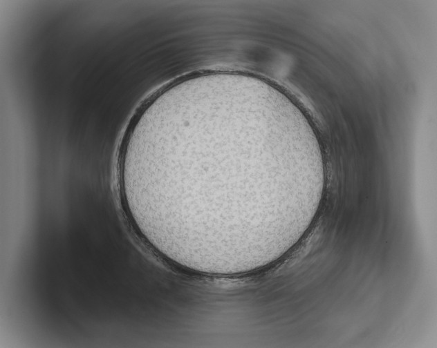 X0000102280848200808081501