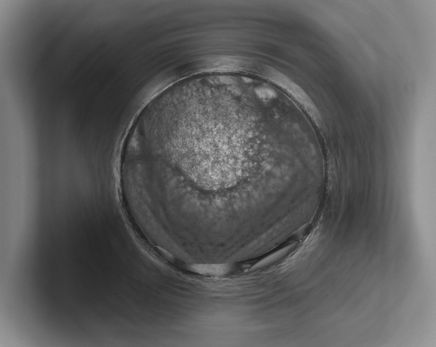 X0000102280850200808081501