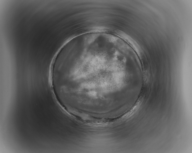 X0000102280851200808081501