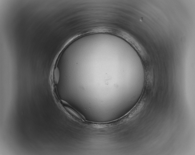 X0000102280852200808081501