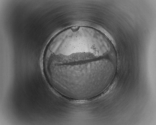 X0000102280853200808081501