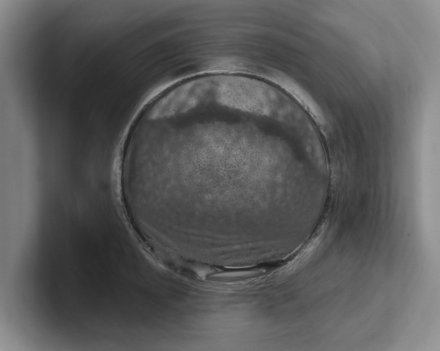 X0000102280854200808081501