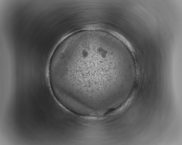 X0000102280855200808081501