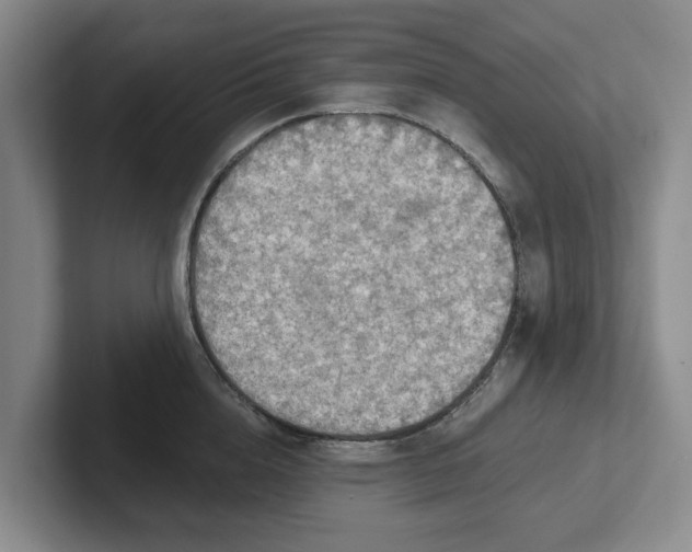 X0000102280856200808081501